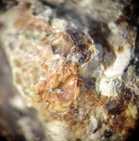 _Enstatit in Basalt_EF 3.7.17_BB 4 mm_Schw. Steinkaut_Erbsenacker_WI-Naurod_Hessen_Ts_Peter.JPG
