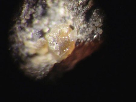 _Fragezeichen_Olivin-Forsterit x_EF 3.7.17_BB 4 mm_Schw. Steinkaut_Erbsenacker_WI-Naurod_Hessen_Ts_Peter.JPG