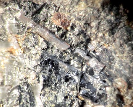 _Hydroxylapatit xx in Basalt_EF 5.7.17_BB 5 mm_Schw. Steinkaut_Erbsenacker_WI-Naurod_Hessen_Ts_Peter_9.JPG