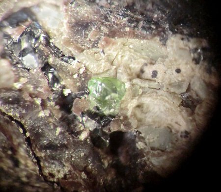 _Olivin x_EF 5.7.17_BB 5 mm_Schw. Steinkaut_Erbsenacker_WI-Naurod_Hessen_Ts_Peter.JPG