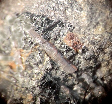 _Hydroxylapatit xx in Basalt_EF 5.7.17_BB 5 mm_Schw. Steinkaut_Erbsenacker_WI-Naurod_Hessen_Ts_Peter_10.JPG