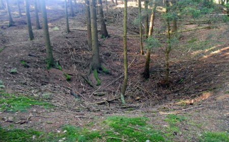 Silberrangen,Erbendorf (4).jpg
