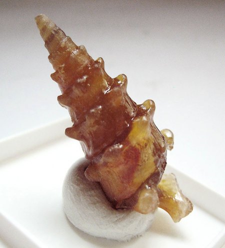 _Moganit+Chalcedon pseud. n. fossil. Schnecke Turitella_3,5 cm Länge_Dakhla_W Sahara_Marokko_1b.jpg