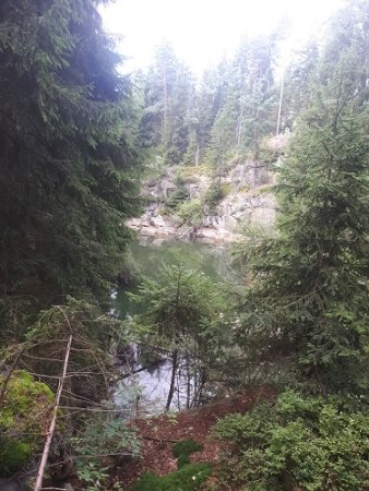 20170819_140445.jpg