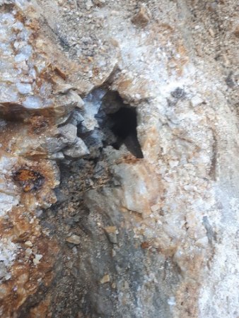 20170819_170058.jpg