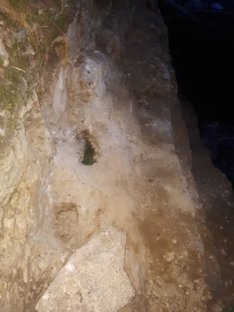 20170821_203731.jpg