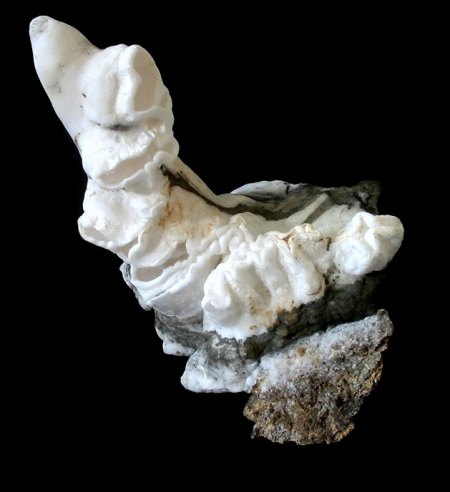 Eisenblüte (Frohnau).jpg