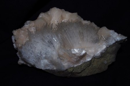 IMGP9520.JPG