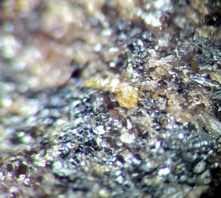 _Hjalmarit xx gelb_Rhodonit xx rosa u.a._BB 2 mm_Langban Mine_Langban_Filipstad_Värmland_Schweden_TL_Peter.jpg
