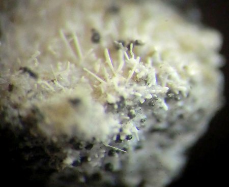 _Pseudocotunnit xx_BB 3 mm_La Fossa Krater_Vulkano Insel_Lipari_Messina Prov._Sizilien_Italien_Peter.jpg