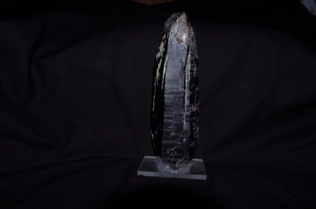 IMGP9552.JPG