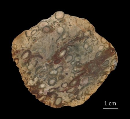 Pisolith, geschliffen .jpg