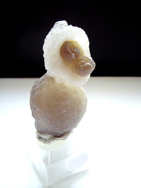 _Chalcedonknolle_Wüstenlack-Wasservogel_Westsahara_Marokko_Peter_1a.jpg