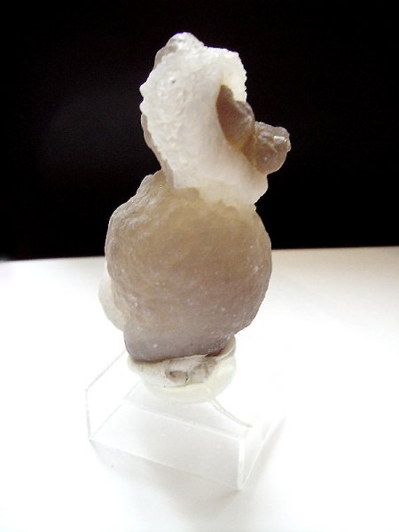 _Chalcedonknolle_Wüstenlack-Wasservogel_Westsahara_Marokko_Peter_1c.jpg