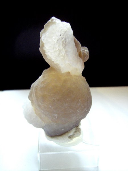 _Chalcedonknolle_Wüstenlack-Wasservogel_Westsahara_Marokko_Peter_1d.jpg
