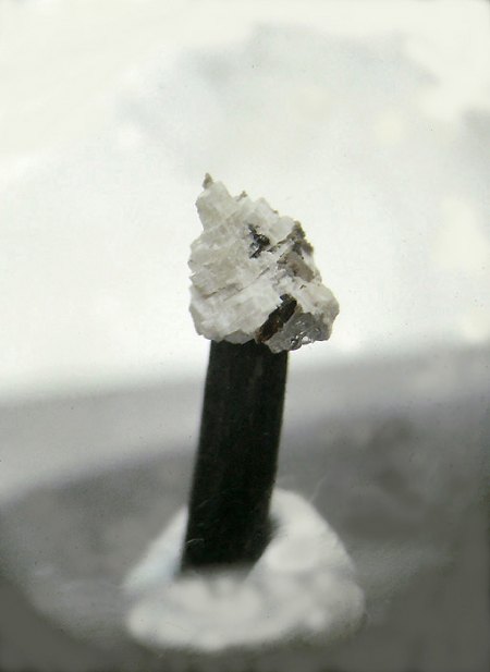 _Sacrofanit xx auf Schörl x_BB 5 mm_Caldera di Sacrofano_Rom_Lazio_Italien_TL_Peter.jpg