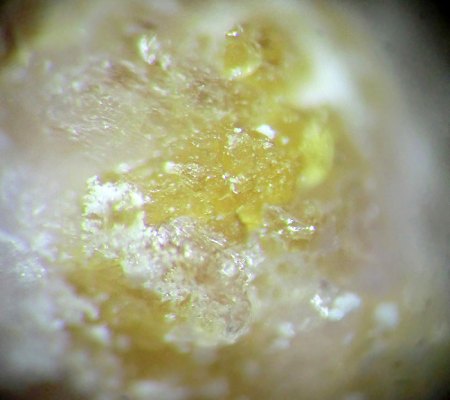 _Magnesiovoltait xx bräunlich-gelb_BB 3 mm_Alcaparrosa Mine_Calama_El Loa Prov._Antofagasta Reg._Chile_TL_Peter.jpg