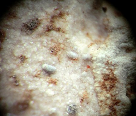 _Parwanit xx_Taranakit erdig_BB 4 mm_Parwan Lava Caves_Bacchus Marsh_Moorabool Shire_Victoria_Australien_Peter_1.jpg