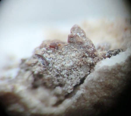 _Parwanit xx_Taranakit erdig_BB 3 mm_Parwan Lava Caves_Bacchus Marsh_Moorabool Shire_Victoria_Australien_Peter_3.jpg