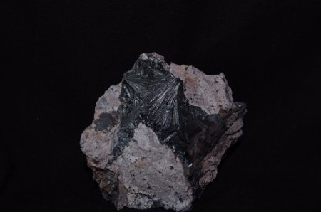 IMGP0028.JPG