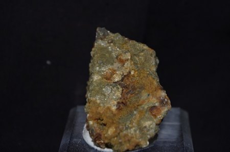 IMGP0001.JPG