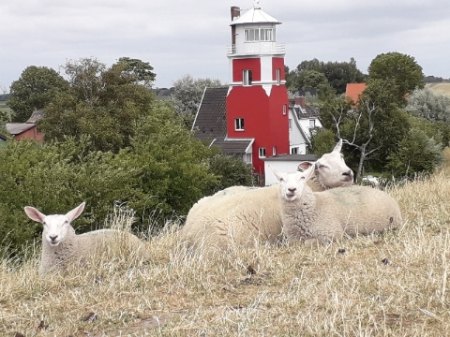 2018_070922_3345_604.jpg