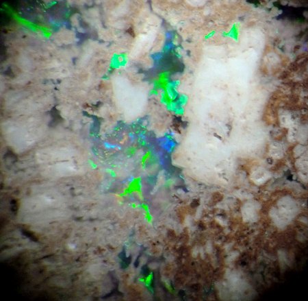 _Edelopal in Andesit_BB 3 mm_Libanka_Dubnik_Slowakei_Peter_1b.jpg