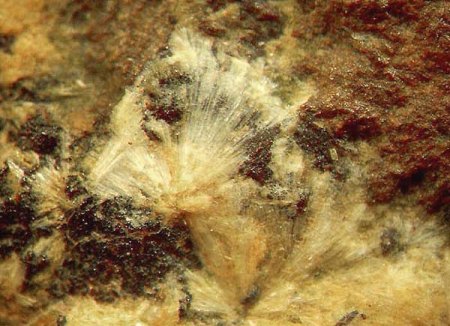 Wavellit_Eigenfund_Grube Mark_Essershausen_Wetzlar_2_Peter.jpg