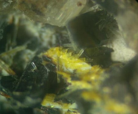 gelbes Mineral - Feuerberg, Hinterweiler, Eifel.jpg