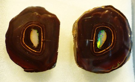 Yowah Nuß geteilt anpoliert zusammen 322,75ct.JPG