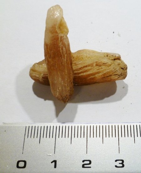 9.JPG