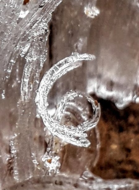 20181226_215903.jpg
