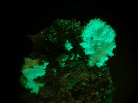 _Plasilit xx_MM_BB 4 mm_nadlig-fasrig_UV grün_Blue Lizard Mine_Red Canyon_San Juan Co._Utah_USA_TL_Peter.JPG