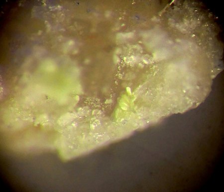 _Oppenheimerit xx_MM_BB 2 mm_gelbgrün_Blue Lizard Mine_Red Canyon_White Canyon Distr._San Juan Co._Utah_USA_Peter.JPG