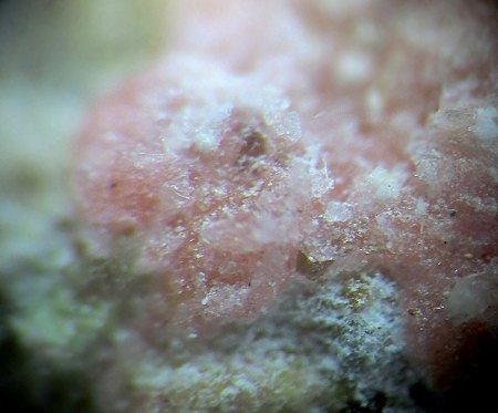 _Manganoblödit xx_MM_BB 3 mm_rosa_Blue Lizard Mine_Red Canyon_White Canyon Distr._San Juan Co._Utah_USA_Peter.JPG