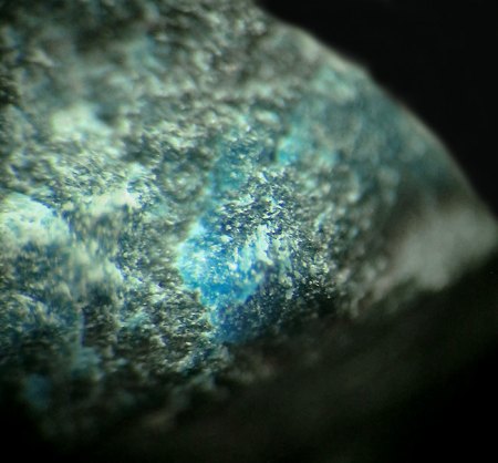 _Lavinskyit xx_blau strahlig_MM_BB 4 mm_Wessels Mine_Hotazel_Kalahari Mn-Field_N. Cape Prov._Südafrika_Peter.JPG