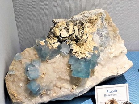 20190526_084202.jpg