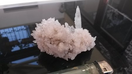 20190619_101356.jpg