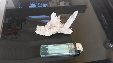 20190619_101027.jpg