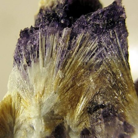 Karpholith in Fluorit Schlaggenwald.jpg