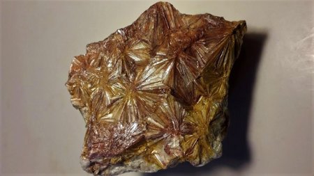 Pyrophyllit Indian Gulch,Kalifornien.jpg