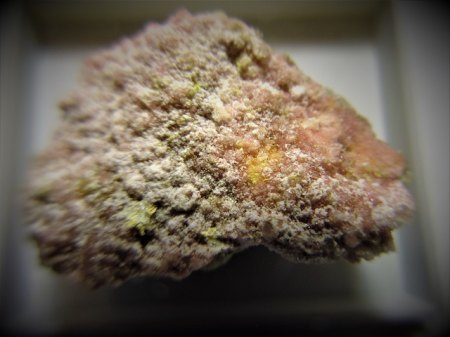 Ottohahnit auf Manganoblödit-Cobaltoblödit Blue Lizard Mine,Red Canyon,Utah.JPG