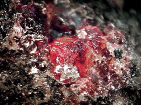Rastsvetaevit_Aegirin_Rasvumchorr_Chibiny Massiv_Kola Halbinsel_Russland_MM_Peter.JPG