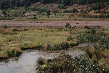 _Messel_Gruben-Panorama 1_Peter_0797.jpg