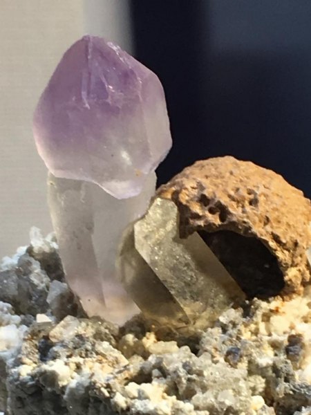 Amethyst_Oberaar.JPG