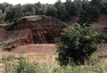 _Messel_Gruben-Panorama 6_Peter_0797.jpg