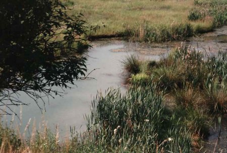 _Messel_Gruben-Panorama 2_Peter_0797.jpg