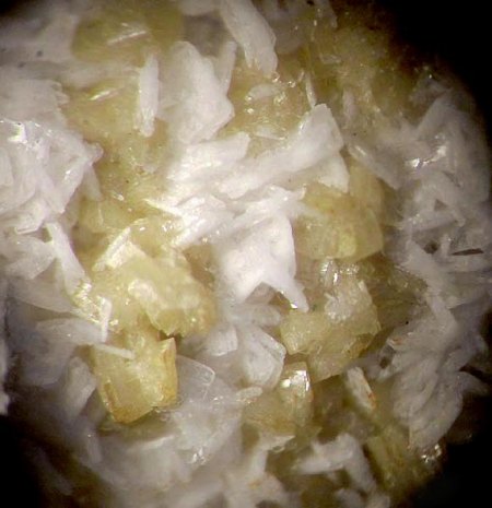 _Pseudomorphose Albit u. Analcim n. Natrolith X_BB 6 mm_alter Fund_MSH_Quebec_Kanada_Peter_1b.JPG