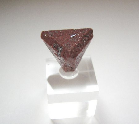 _Zunyit X bis 1,5 cm Kantenlänge_Qualat-e Bala Salzstock_Bandar Abbas Co._Hormozgan Prov._Iran_Peter_1a.jpg
