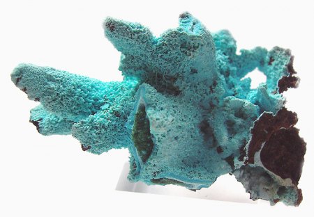 _Chrysokoll auf Pseudomorph. Malachit nach Azurit_NS_Lupoto Mine_Kakumba_Kipushi_Katanga_DR Kongo_Peter_1b.jpg